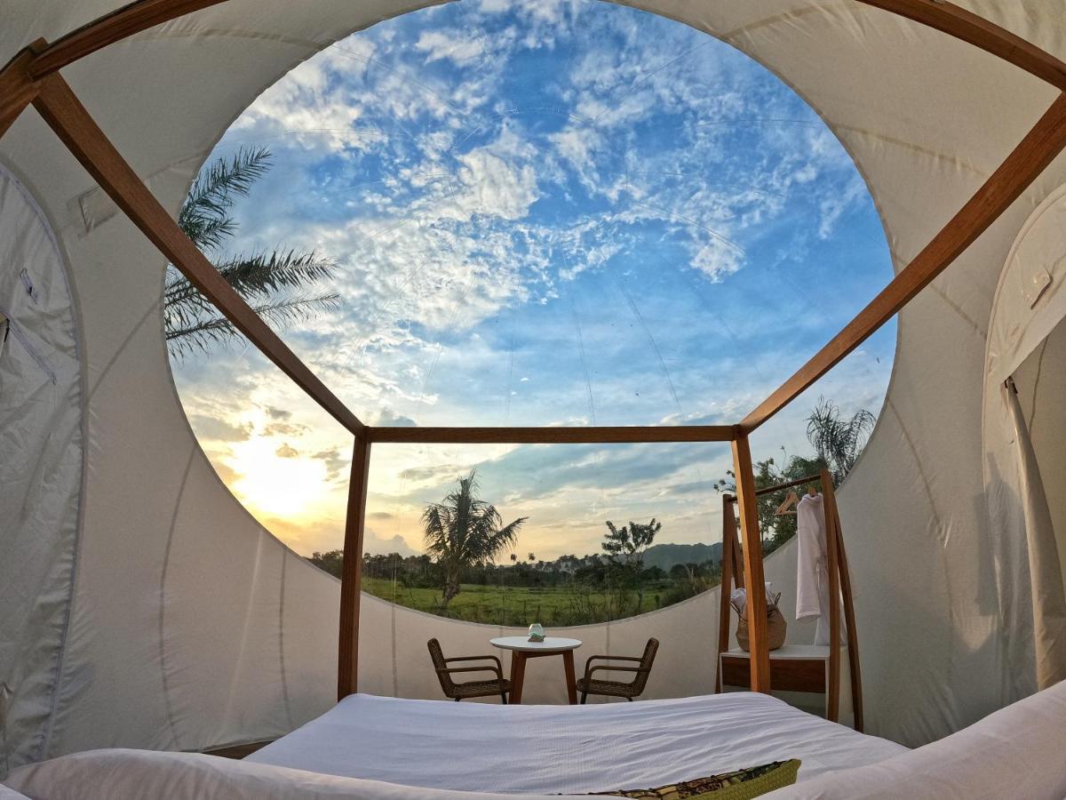 Green Land Bubble Glamping By Mint Cabarete Exterior photo