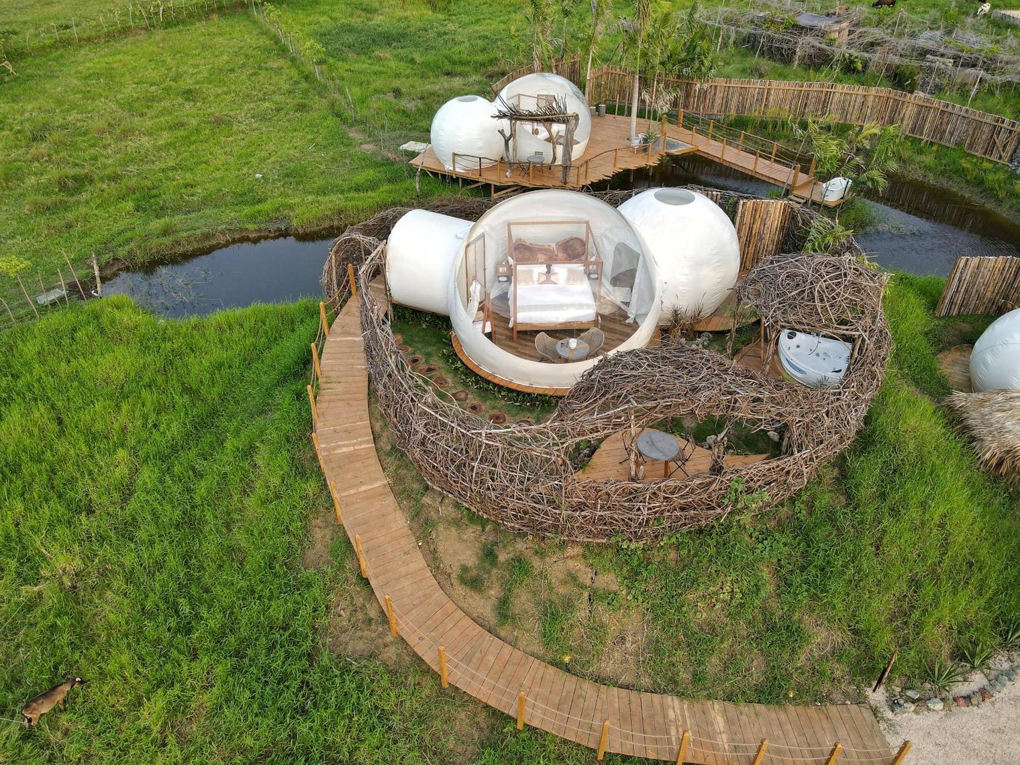 Green Land Bubble Glamping By Mint Cabarete Room photo