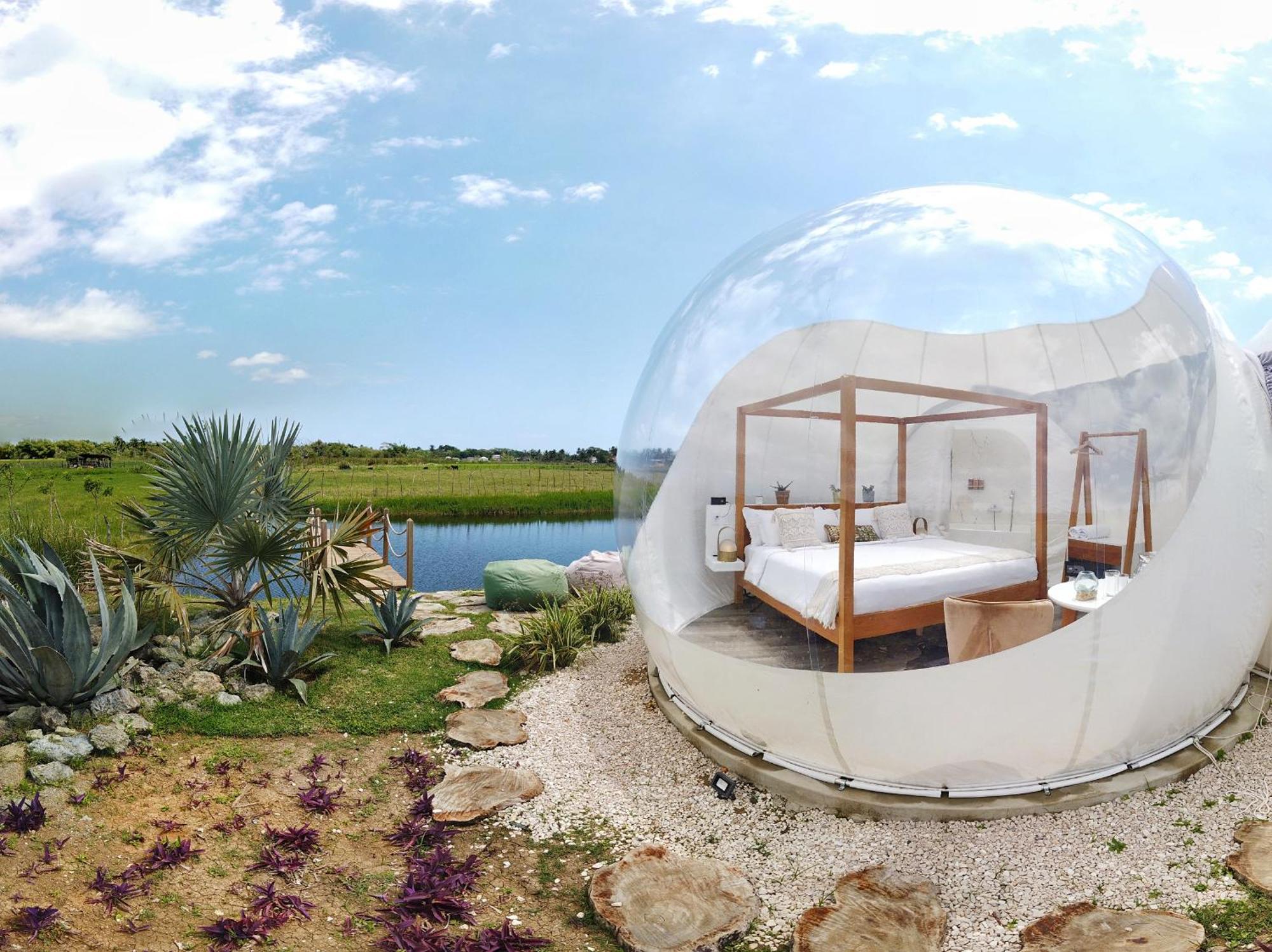 Green Land Bubble Glamping By Mint Cabarete Room photo